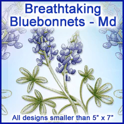 A Breathtaking Bluebonnets Design Pack - Image 2