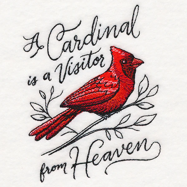 A Cardinal is a Visitor from Heaven - Image 4