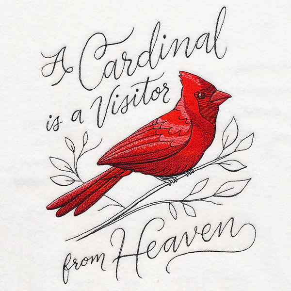 A Cardinal is a Visitor from Heaven - Image 5