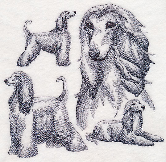 Afghan Hound Sketch - Image 2
