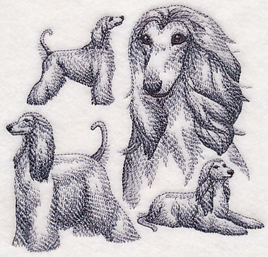 Afghan Hound Sketch - Image 4