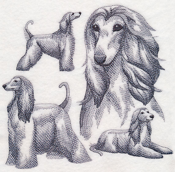 Afghan Hound Sketch - Image 5