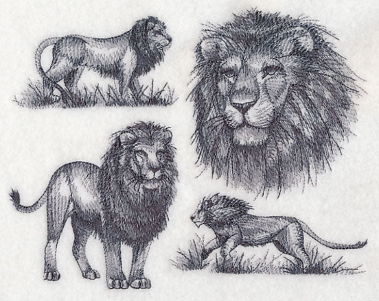 African Lion Sketch - Image 3