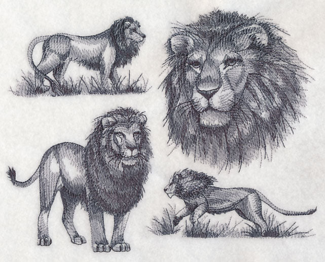 African Lion Sketch - Image 5