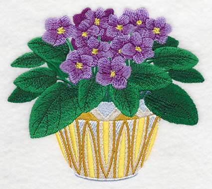African Violets 2 - Image 3