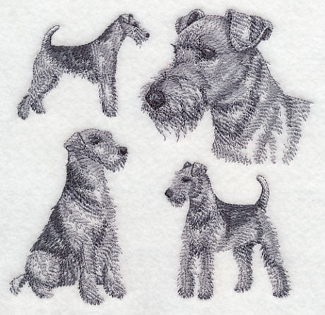 Airedale Sketch (Docked Tail) - Image 3