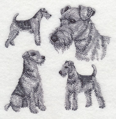 Airedale Sketch (Docked Tail) - Image 4