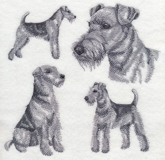 Airedale Sketch (Docked Tail) - Image 5