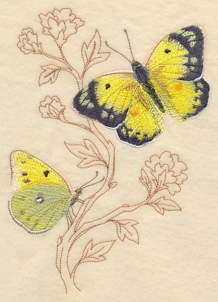 Alfalfa Butterfly on Delicate Branches - Image 3