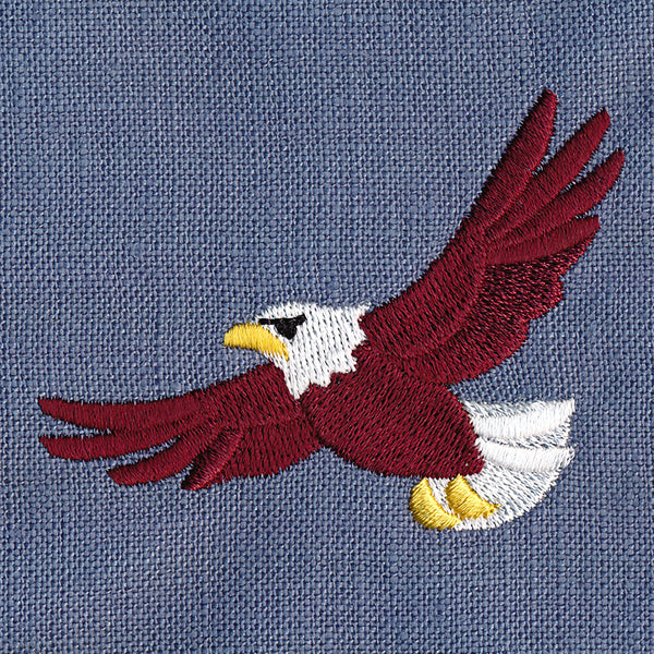 All-American Icons - Eagle - Image 9