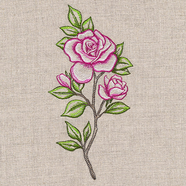 Alluring Roses - Image 10
