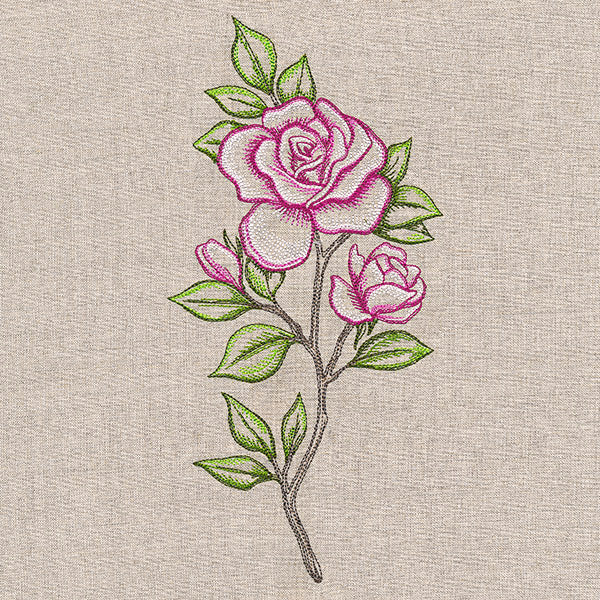 Alluring Roses - Image 4