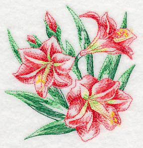 Amaryllis Sketch - Image 5