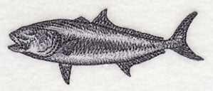 Amberjack Sketch - Image 3