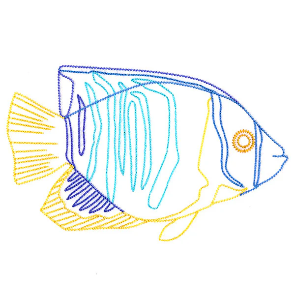 Angelfish at Sea - Image 2