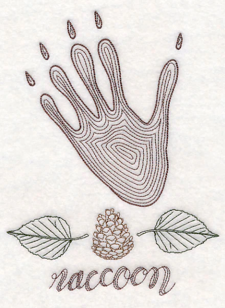 Animal Tracks - Raccoon (Vintage) - Image 2