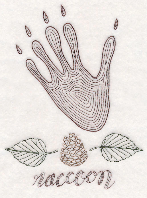 Animal Tracks - Raccoon (Vintage) - Image 5