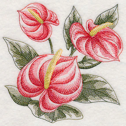 Anthurium Sketch - Image 3