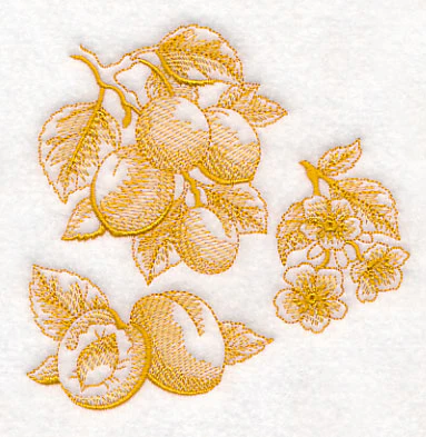 Apricot Botanical (Toile) - Image 4