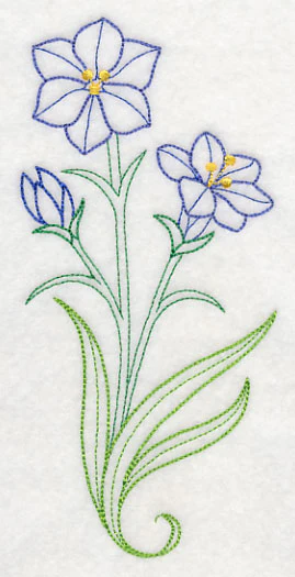 Aristea Africana (Vintage) - Image 3
