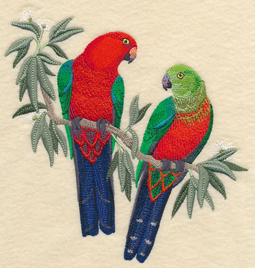 Australian King Parrots in Eucalyptus Tree - Image 4
