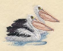 Australian Pelican Pair - Image 2