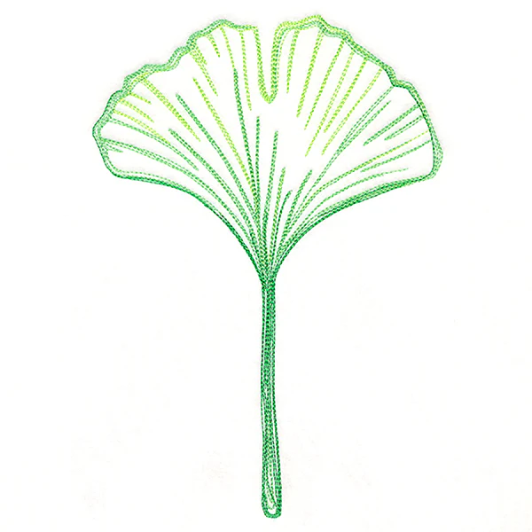 Autumn Ambience - Gingko Leaf