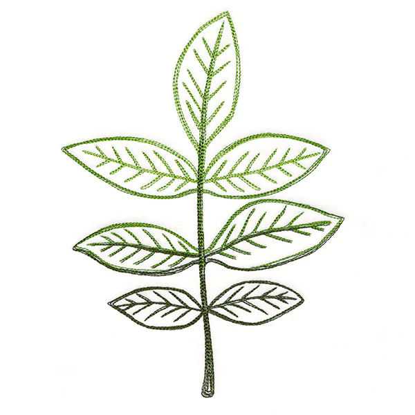 Autumn Ambience - Walnut Leaf