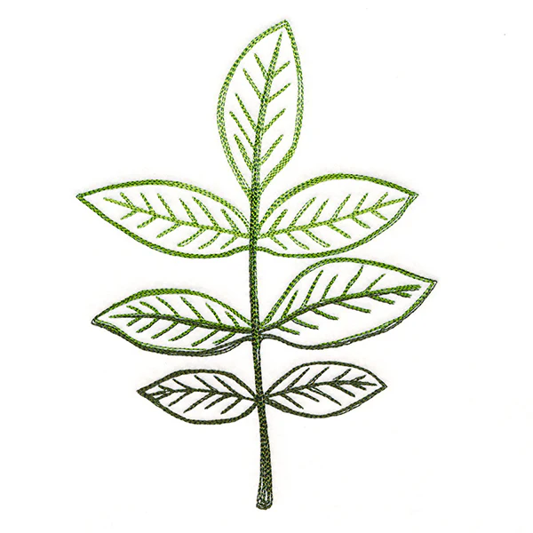 Autumn Ambience - Walnut Leaf - Image 2