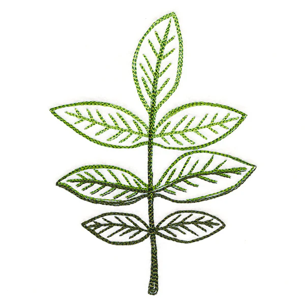 Autumn Ambience - Walnut Leaf - Image 4