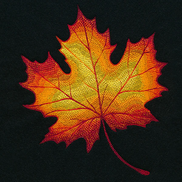 Autumn Fire Maple Leaf - Image 2