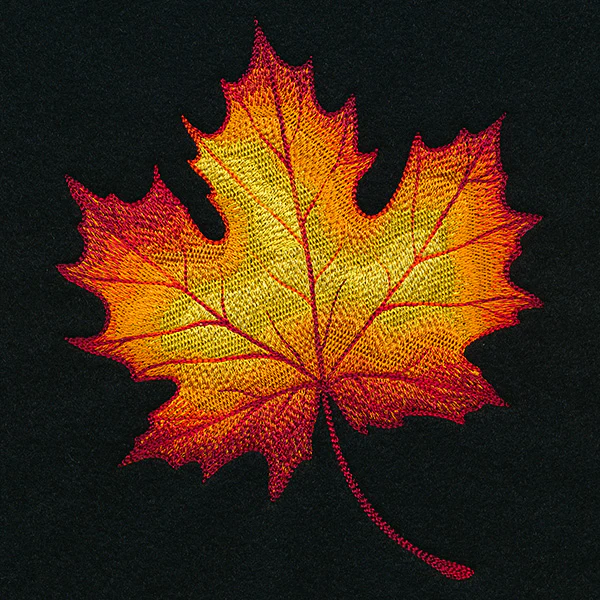 Autumn Fire Maple Leaf - Image 3