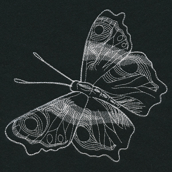 Autumn Glow - Butterfly - Image 9