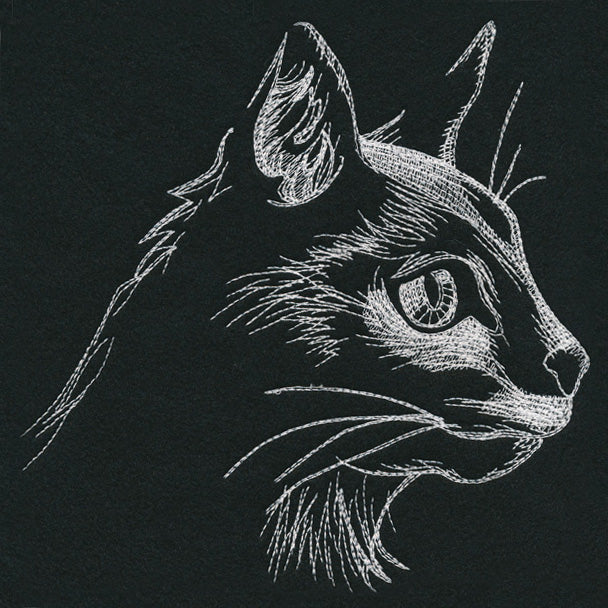 Autumn Glow - Cat