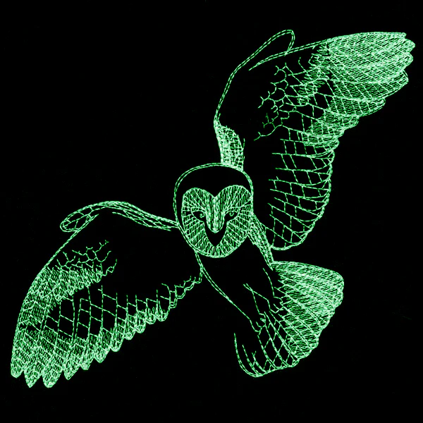 Autumn Glow - Owl - Image 10