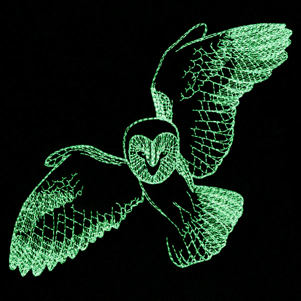 Autumn Glow - Owl - Image 6