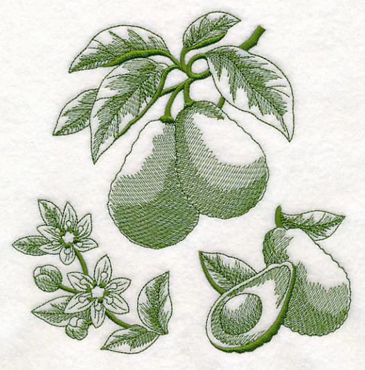 Avocado Botanical (Toile) - Image 2