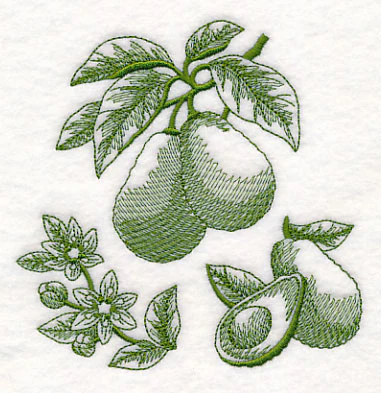 Avocado Botanical (Toile) - Image 4