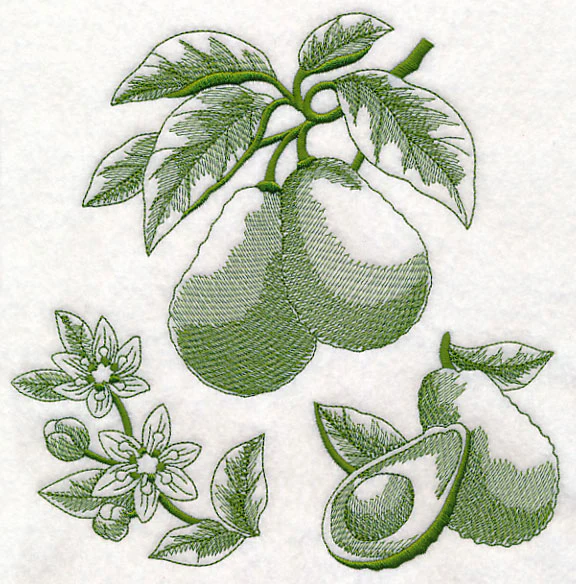 Avocado Botanical (Toile) - Image 6