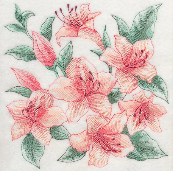 Azalea Sketch - Image 6