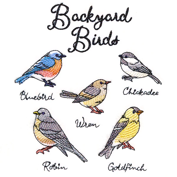 Backyard Birds - Image 3