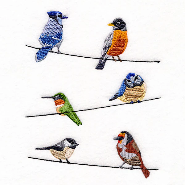 Backyard Birds on a Wire Feature - Image 3