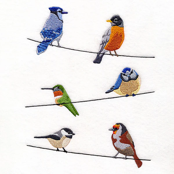 Backyard Birds on a Wire Feature - Image 4