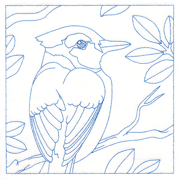 Backyard Birds Quilting - Blue Jay (Double Run) - Image 2