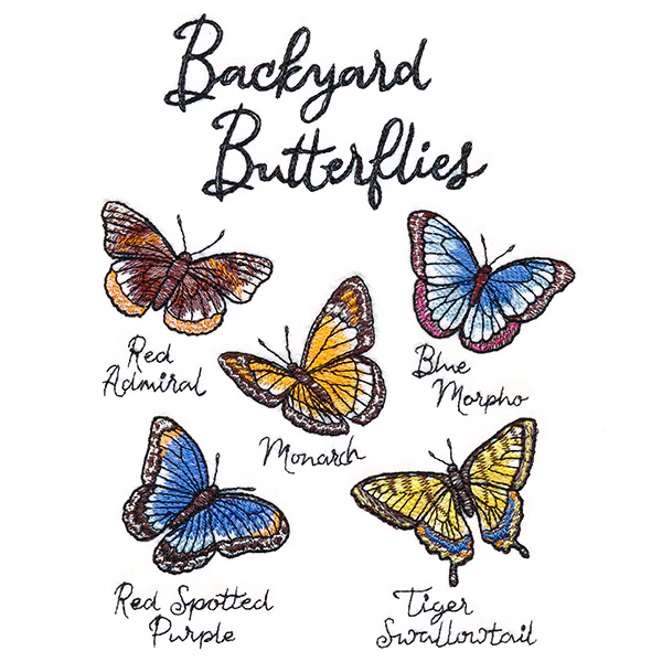 Backyard Butterflies - Image 2