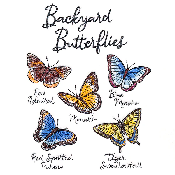 Backyard Butterflies - Image 4