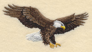 Bald Eagle in Flight - Image 2