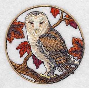 Barn Owl in Autumn - Image 5