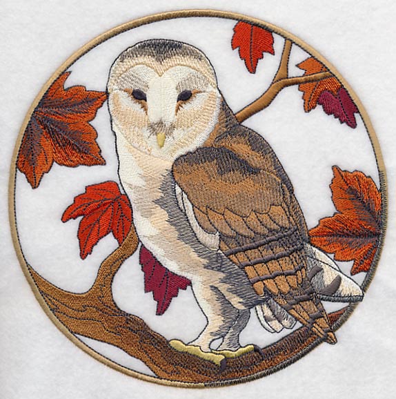 Barn Owl in Autumn - Image 6