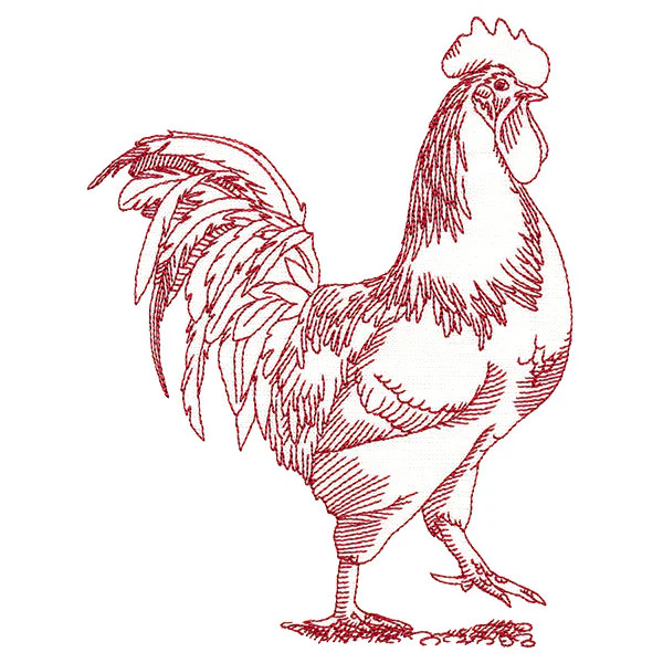 Barnyard Etchings - Rooster - Image 3